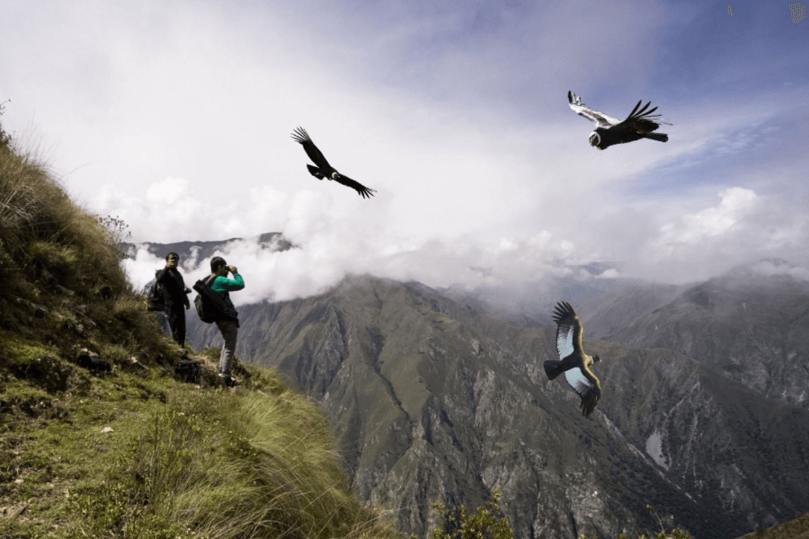 Mirador de Condor Chonta