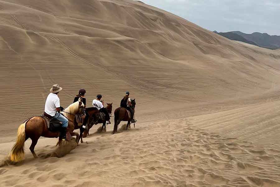 Visita Pachacamac y Cabalga en Caballo de Paso Peruano por las Dunas y Playas de Lima 2024