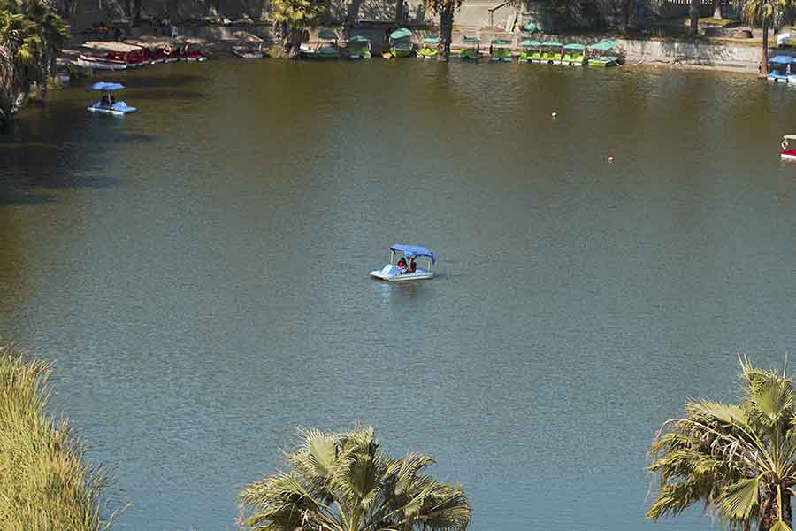 Tour Full Day Huacachina